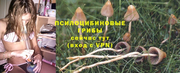 ешки Нязепетровск