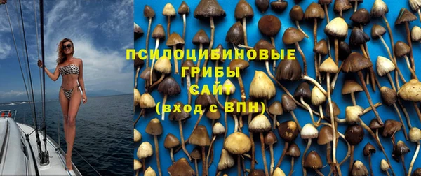 гашик Алзамай