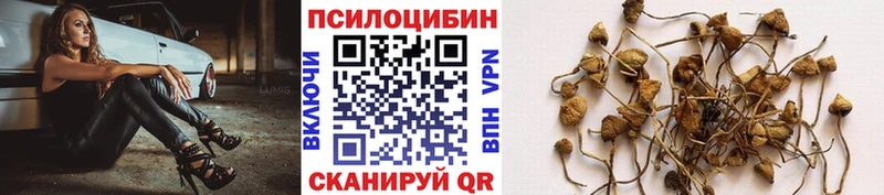 Псилоцибиновые грибы мухоморы  Алупка 